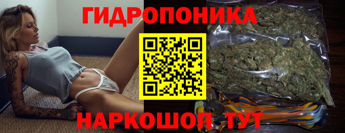 Шишки марихуана OG Kush  Каннабис White Widow  Избербаш  Вход с VPN  Шишки марихуана план 